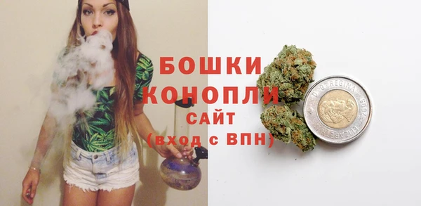 крисы Баксан