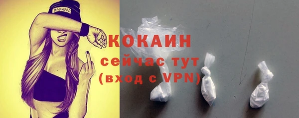 крисы Баксан