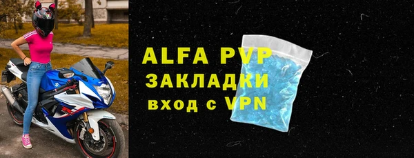 крисы Баксан