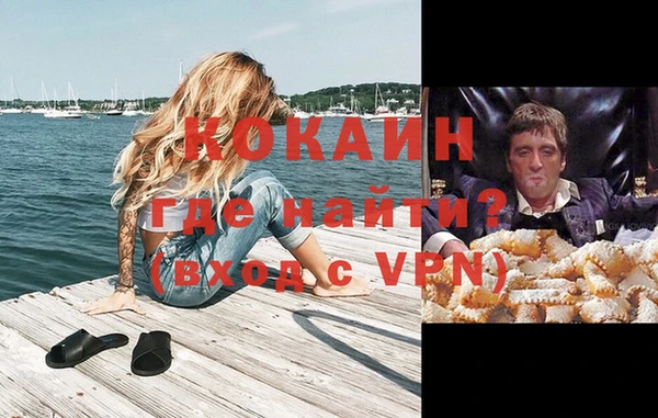 крисы Баксан