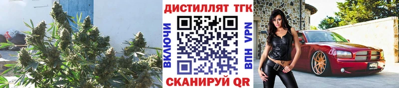 где продают наркотики  Заринск  Дистиллят ТГК вейп 